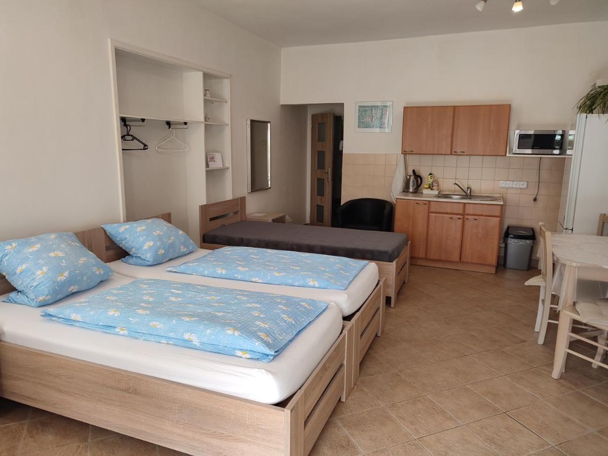 Pension Dana Karaskova Apartment Kutna Hora Luaran gambar