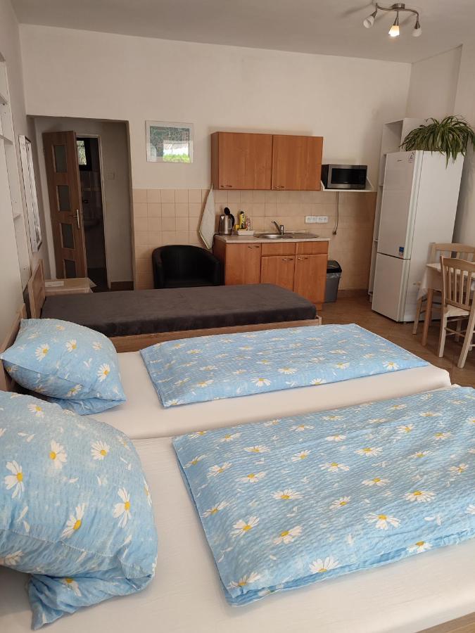 Pension Dana Karaskova Apartment Kutna Hora Luaran gambar