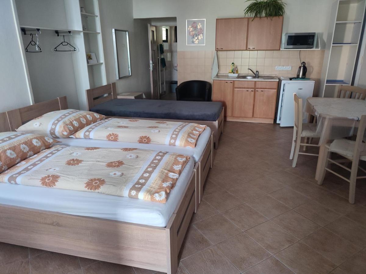 Pension Dana Karaskova Apartment Kutna Hora Luaran gambar