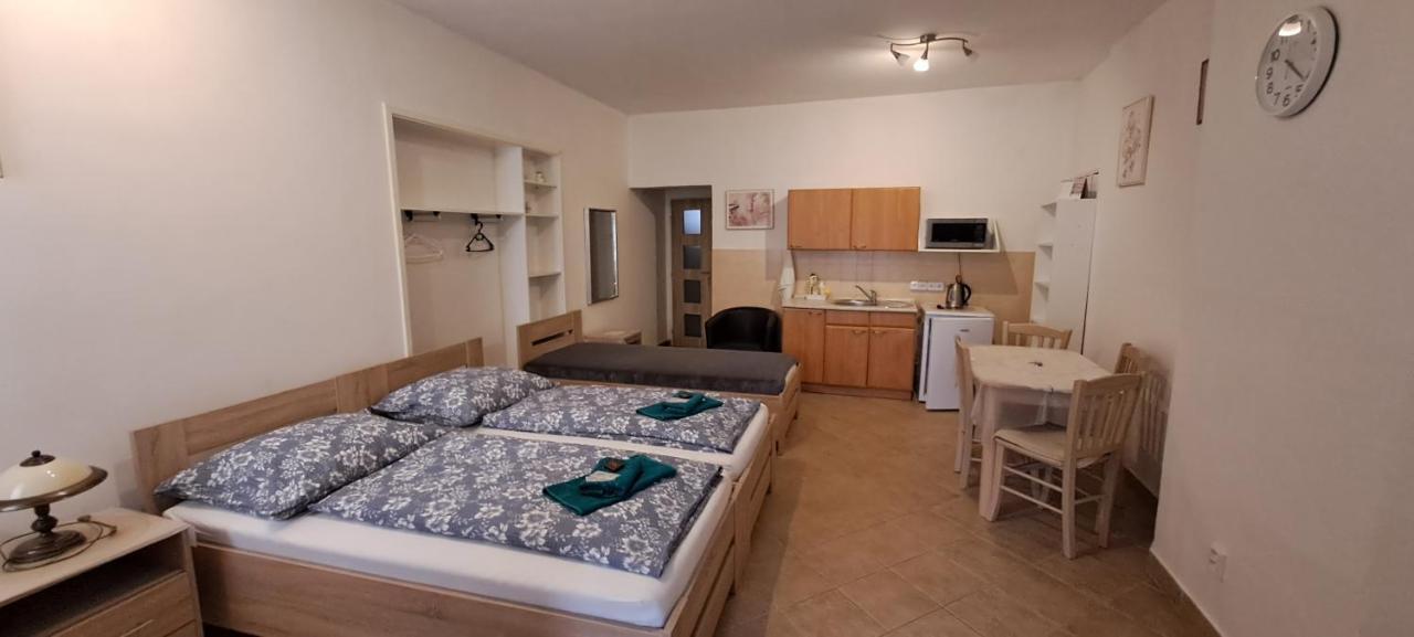 Pension Dana Karaskova Apartment Kutna Hora Luaran gambar