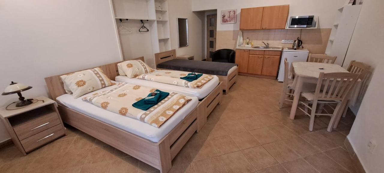 Pension Dana Karaskova Apartment Kutna Hora Luaran gambar