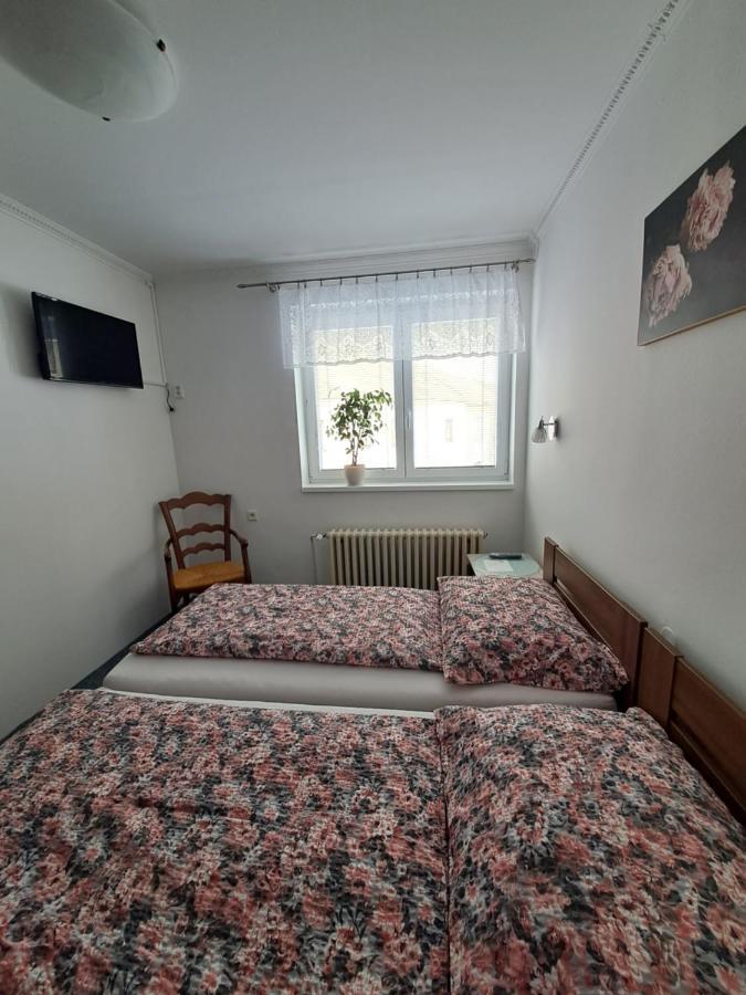 Pension Dana Karaskova Apartment Kutna Hora Luaran gambar