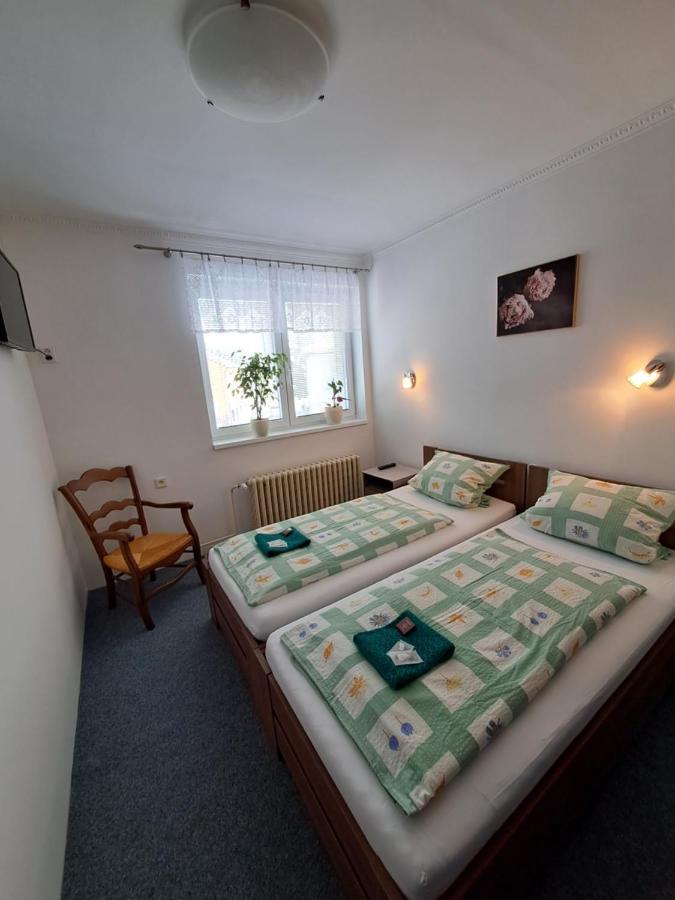 Pension Dana Karaskova Apartment Kutna Hora Luaran gambar