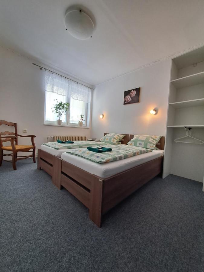 Pension Dana Karaskova Apartment Kutna Hora Luaran gambar