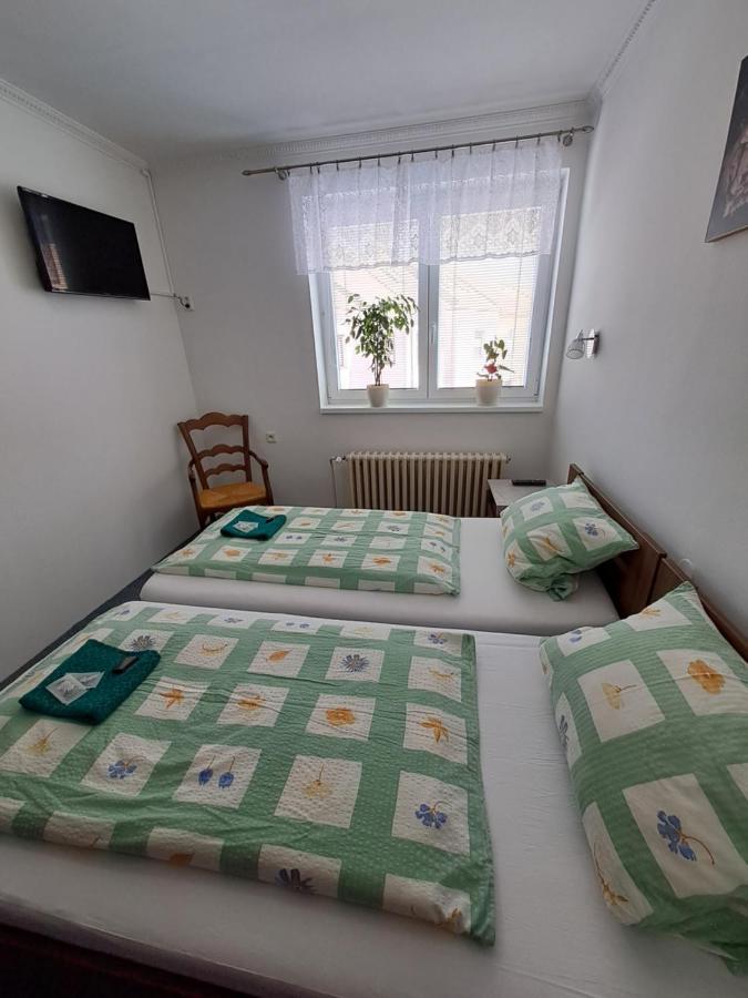 Pension Dana Karaskova Apartment Kutna Hora Luaran gambar