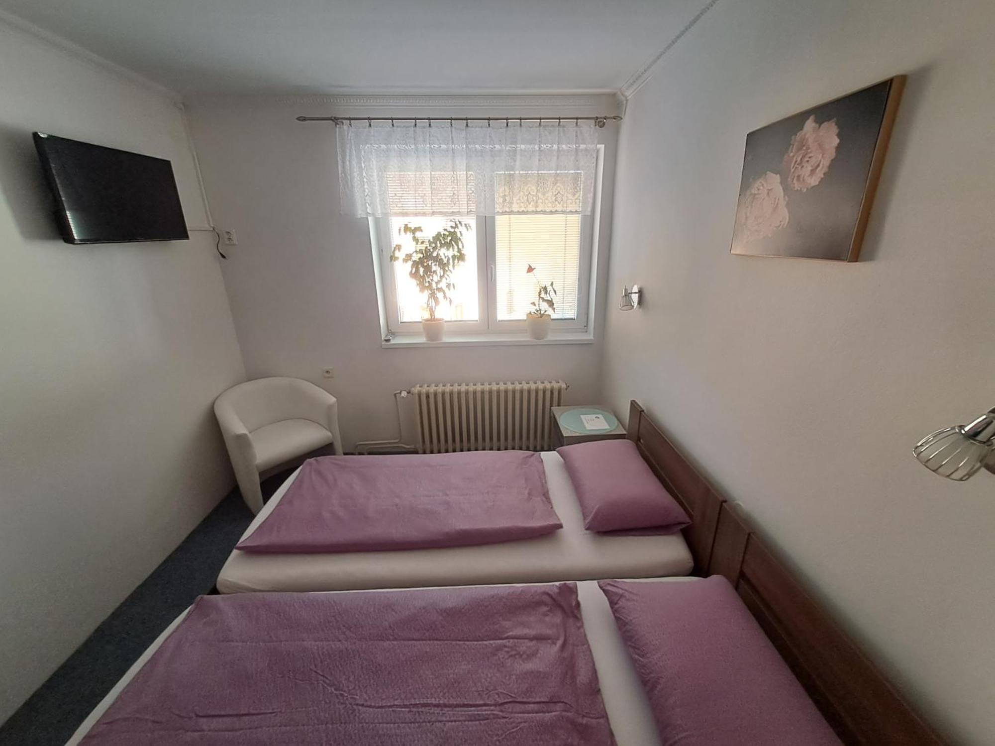 Pension Dana Karaskova Apartment Kutna Hora Luaran gambar
