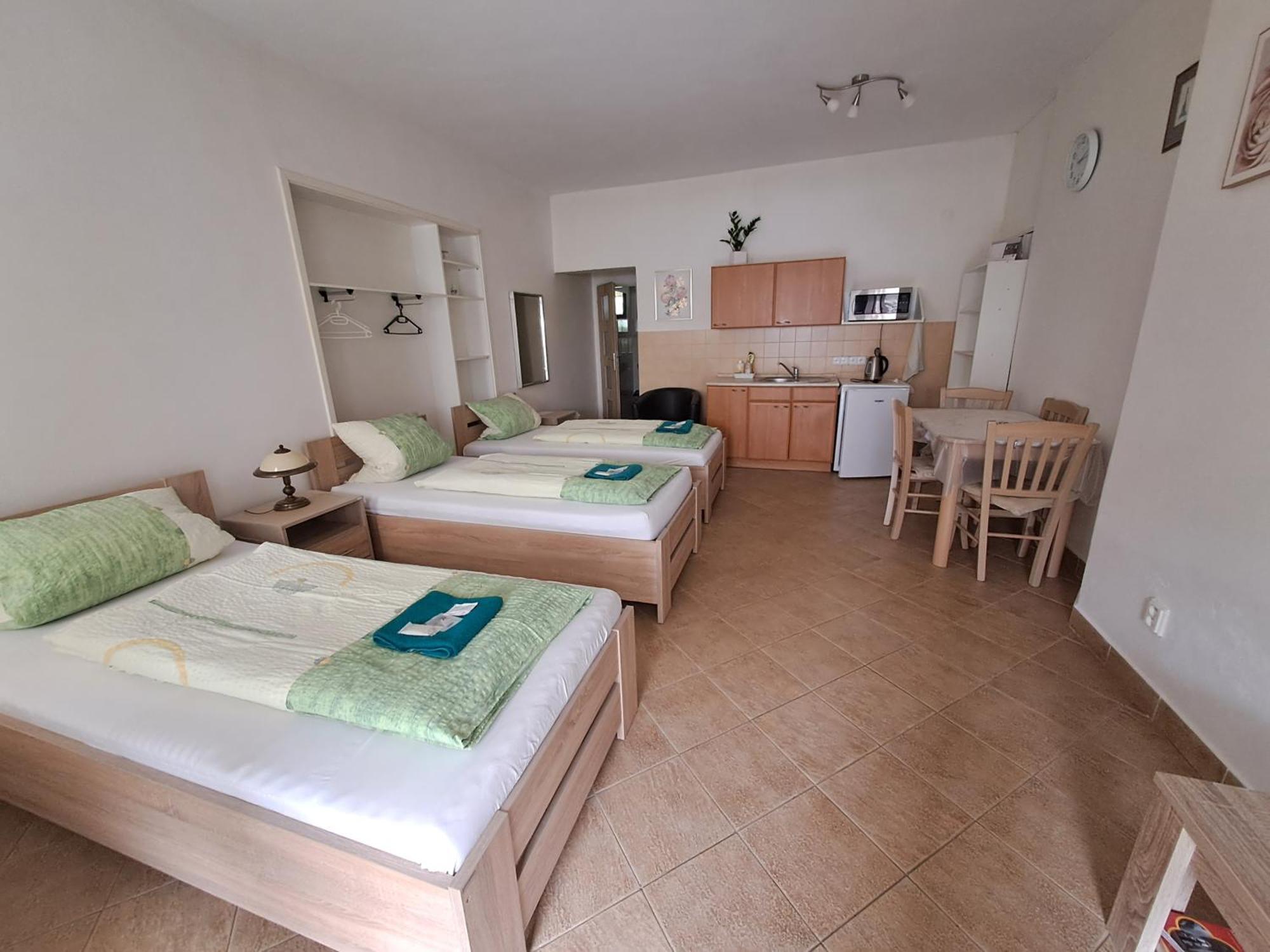 Pension Dana Karaskova Apartment Kutna Hora Luaran gambar